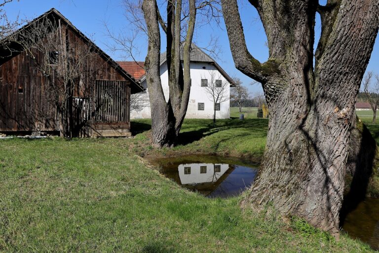 farmhouse, barn, reflection-5014907.jpg