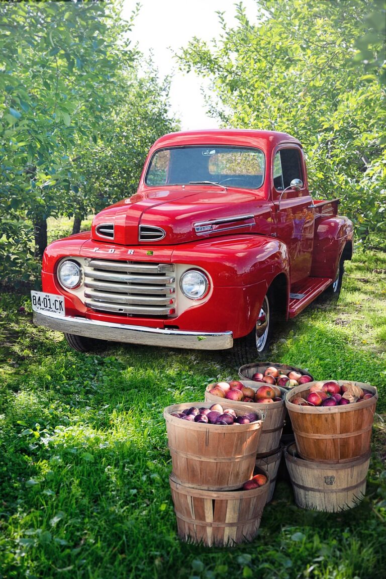 vintage, red, truck-4579558.jpg